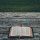 Surviving Leviticus: 3 Tips To Persevere in Your Bible Reading